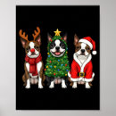 Search for boston posters Terrier