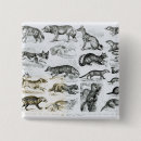 Search for carnivorous badges English