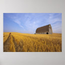 Search for pullman posters Farm