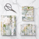Search for birch bark wrapping paper Nature