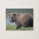 Search for brown bear puzzles Bears