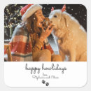 Search for happy buffalo stickers Plaid