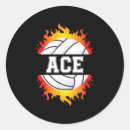 Search for volleyball ball stickers Player