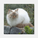 Search for pedigree magnets Breed