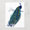 Search for birds stamps invitations Nature