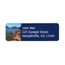 Search for pond return address labels Nature