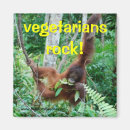 Search for vegetarians magnets Animals