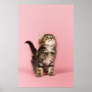 Search for nosy posters Baby animals
