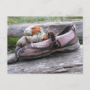 Search for stuffed animals postcards Nature