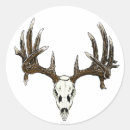 Search for whitetail buck stickers Hunting