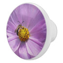 Search for bee knobs and pulls Pink