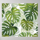 Search for monstera posters Palm