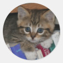 Search for worm stickers Cute