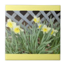 Search for daffodil tiles Ceramic