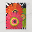 Search for gerbera daisy invitations Pink