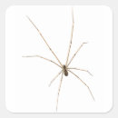 Search for scary arachnid stickers Creepy