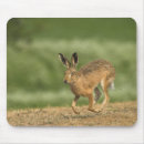 Search for alerts mousepads Grass