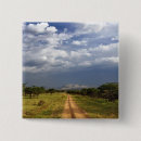 Search for dirt badges Road