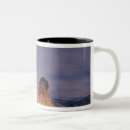 Search for sea otter coffee mugs Paw