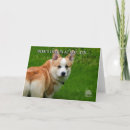 Search for pembroke cards Puppy