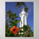 Search for french polynesia posters Nature