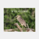 Search for night heron Wildlife