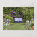 Search for back yard postcards Outdoors