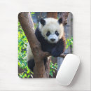 Search for province mousepads East asia