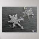 Search for crystal cold art Crystals