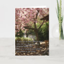 Search for blooming tree Inspirational