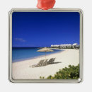 Search for paradise christmas tree decorations Scenic