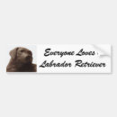 Search for black labrador bumper stickers Dog