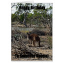 Search for outback cards Kangaroo
