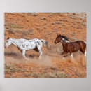 Search for big horn posters Landscape