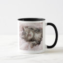 Search for sleeping kitten mugs Japan