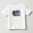 Search for bahamas tshirts Tropical