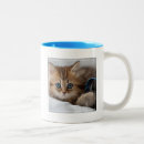 Search for one eye mugs Pets