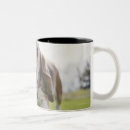 Search for walk the dog mugs Happiness