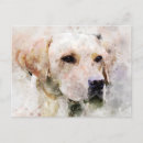 Search for retriever dog postcards Portrait