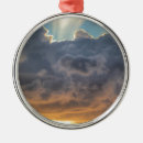 Search for death christmas tree decorations Condolences