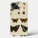 Search for insect cases Animals