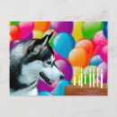 Search for black dog birthday cake Black and white