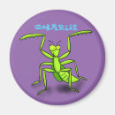 Search for bug kid magnets For kids