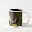Search for tree frog mugs Wildlife