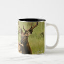 Search for elk antlers mugs Outdoors