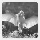 Search for egret stickers Artistic