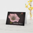 Search for morning glory birthday cards Pretty