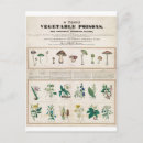 Search for poisonous plants posters Illustration