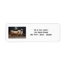 Search for farm return address labels Sheep