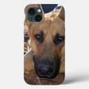 Search for alsatian iphone cases Pet